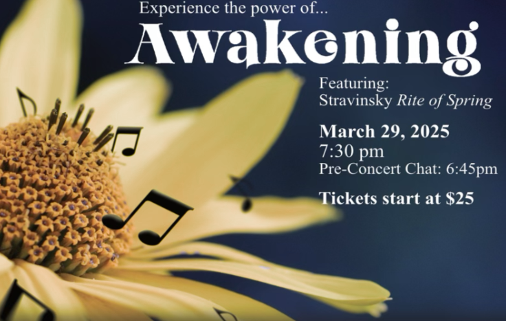 VSO Promotional Material 1